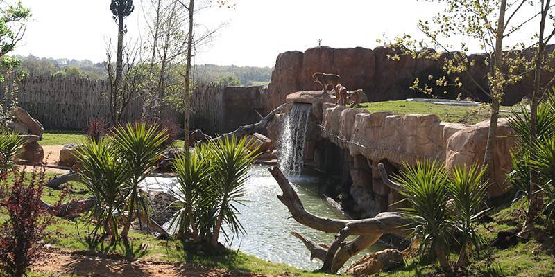 Profitez d’un moment de découverte au ZooParc de Beauval pendant vos vacances au camping Parc de Fierbois