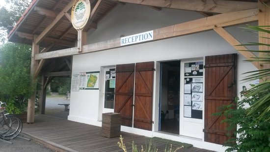 Camping de luxe à Messanges : Et si vous optiez pour le camping Moisan ?