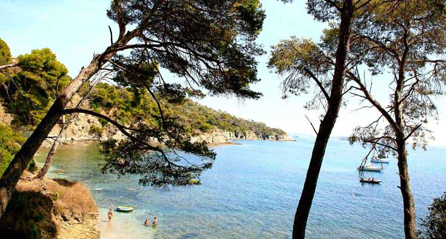 Camping à Hyères : quel établissement pour un petit budget ?
